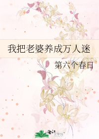 我把老婆养成万人迷