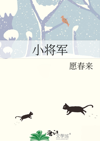 小将军