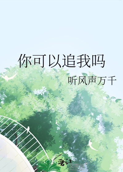 你可以追我吗