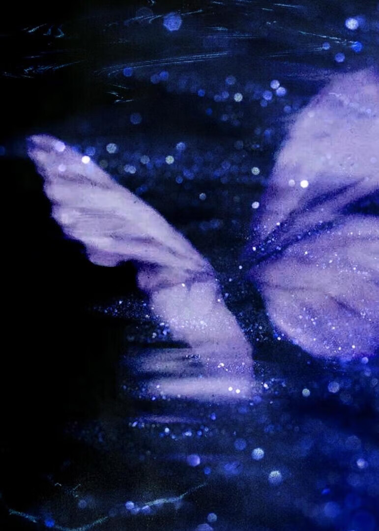 嫁给私生子小叔后