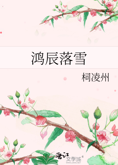 鸿辰落雪