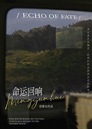 命运回响[先婚后爱]