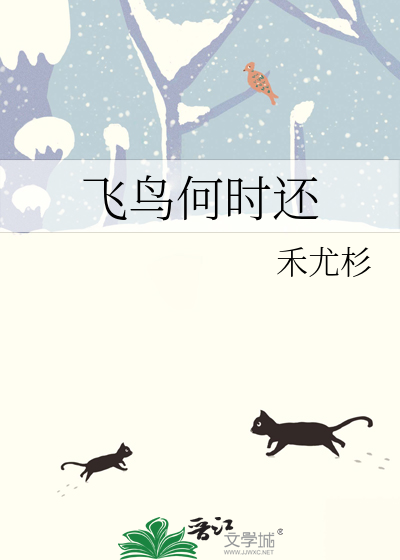 飞鸟何时还