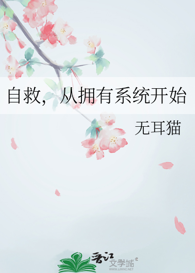 自救，从拥有系统开始