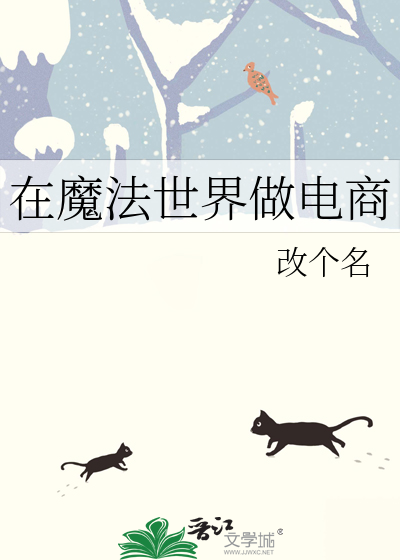 在魔法世界做电商