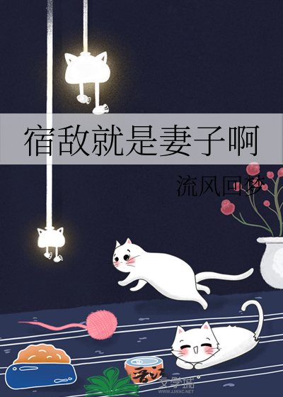 宿敌就是妻子啊