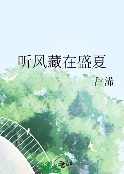 听风藏在盛夏