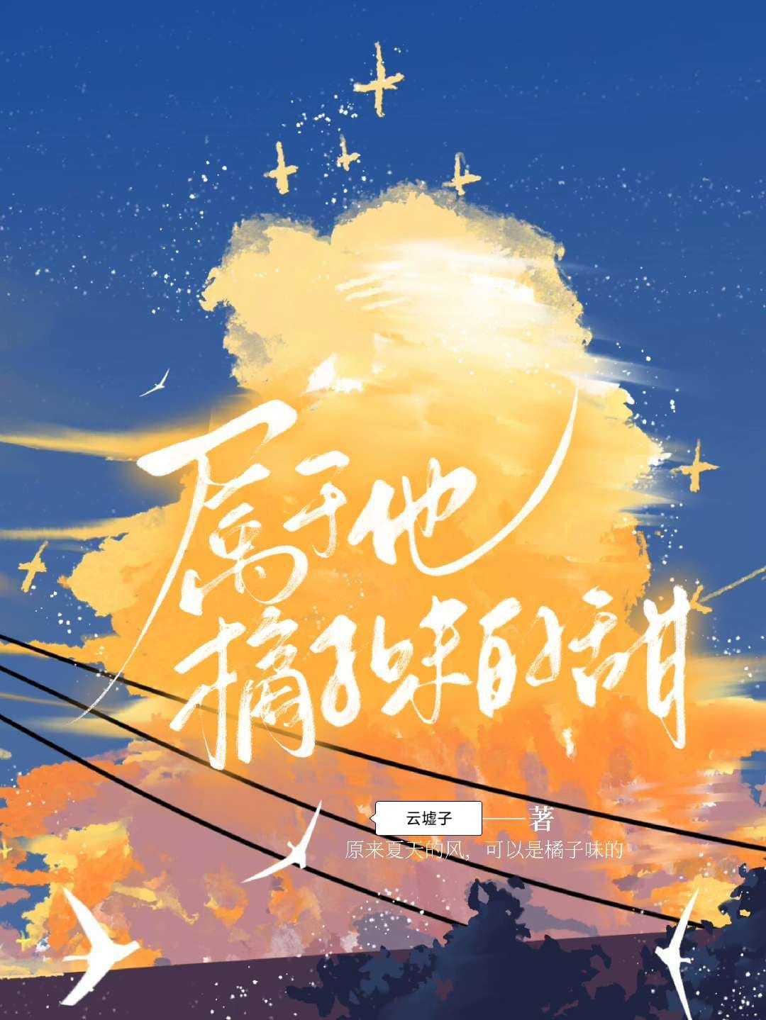 属于他橘子味的甜