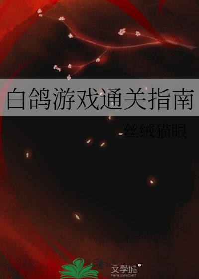 白鸽游戏通关指南