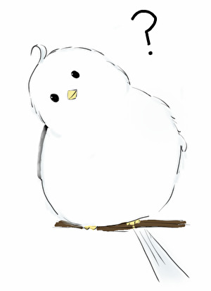 是系统不是电子老婆