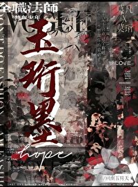 全职法师 小说