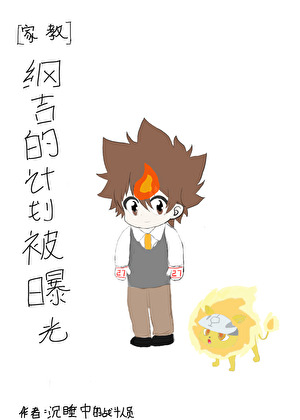 [家教]纲吉的计划被曝光