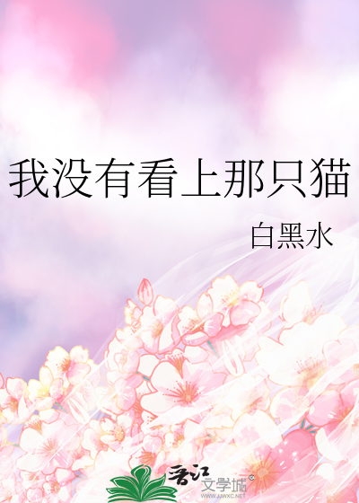 我没有看上那只猫