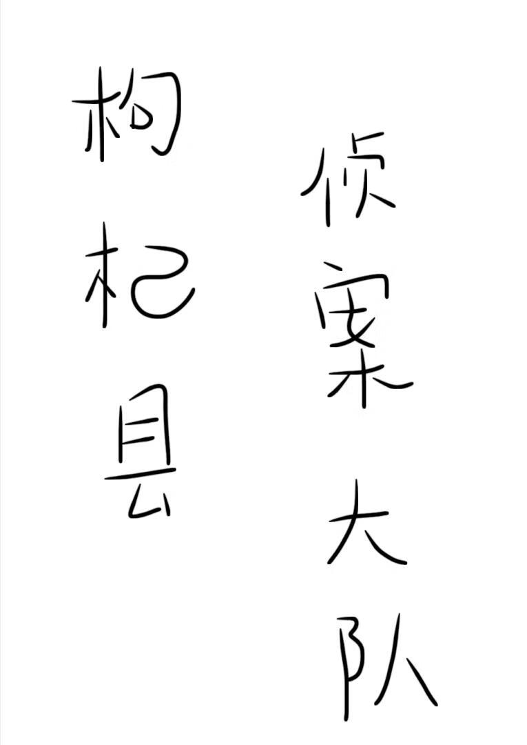 枸杞县侦案大队