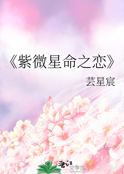 《紫微星命之恋