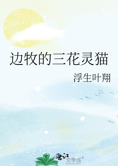 边牧的三花灵猫