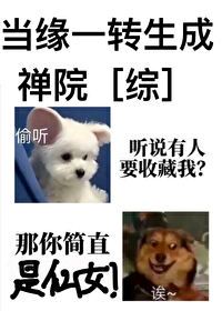 当缘一转生成禅院