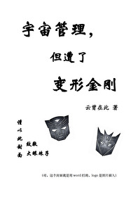 变形金刚多元宇宙