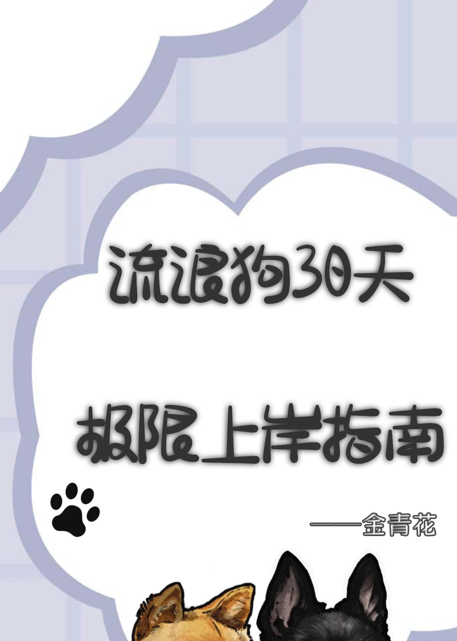 流浪狗30天极限上岸指南