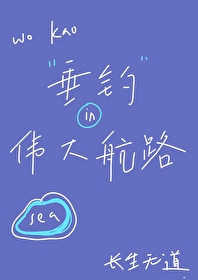 伟大航路设定