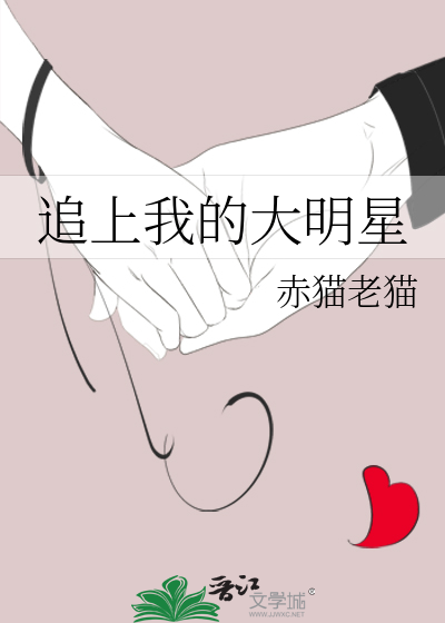 我的追星大号