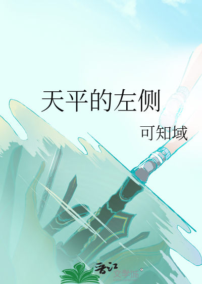 天平的左侧