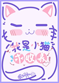 我是小猫咪