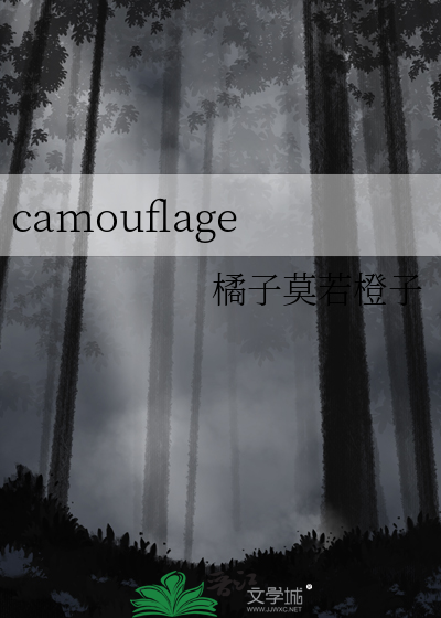 camouflage中文翻译