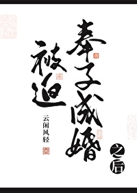 被奉子成婚之后云闲风轻