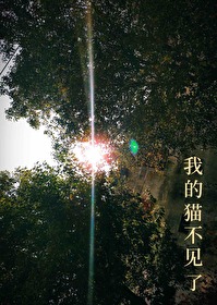我的猫又丢了