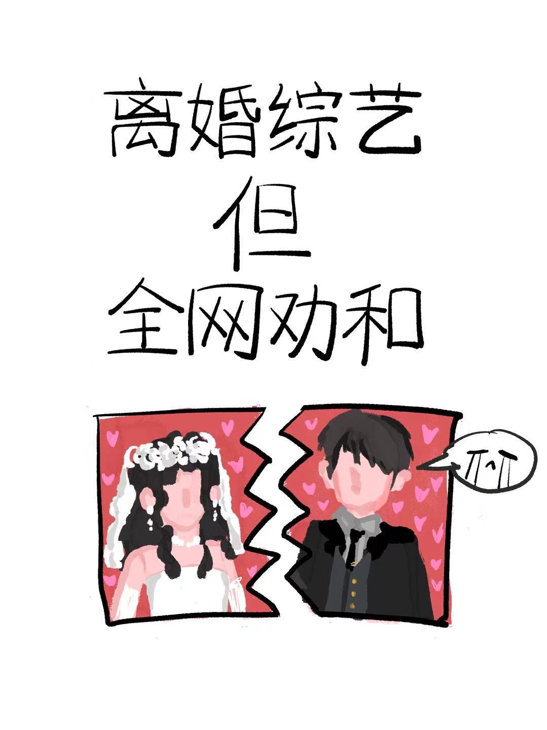 离婚综艺什么意思