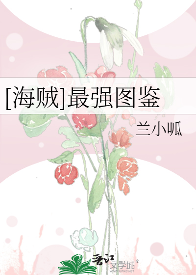 海贼最强海贼商人小说