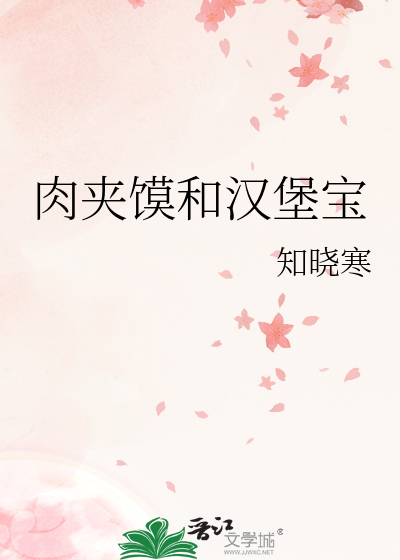汉堡包和肉夹馍两种饮食文化