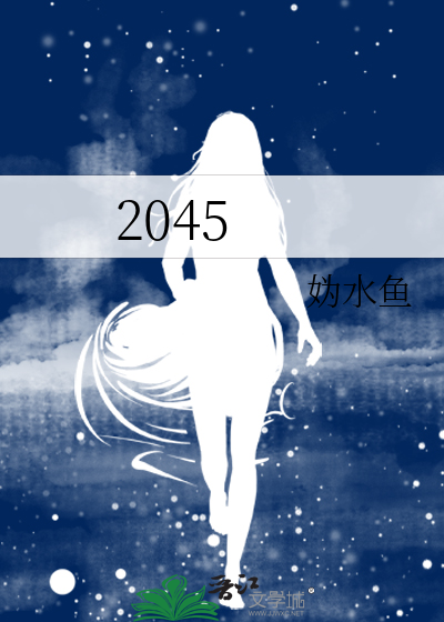 2045爱情数字是什么意思