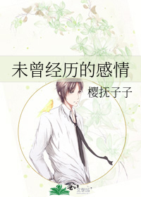未曾经历的感情纯音乐