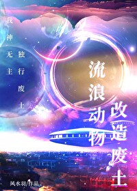 我神无主，独行废土