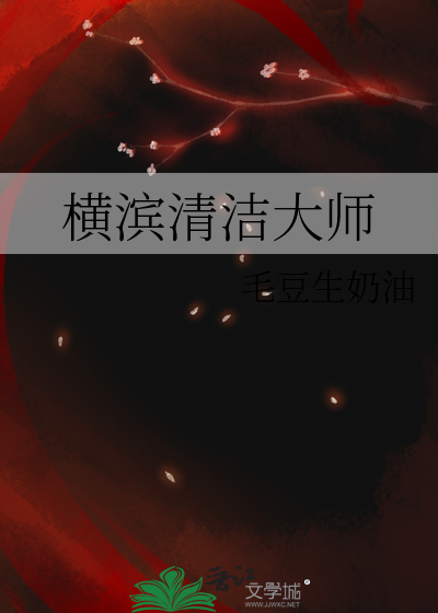 横滨清洁大师