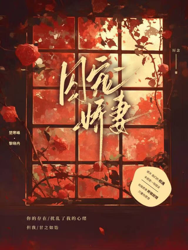 小说《囚宠》