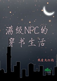 满级npc的穿书生活免费阅读