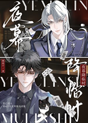 夜幕降临时［全息］